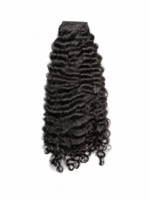 Burmese curly
