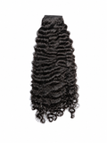 Burmese curly